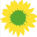 Sonnenblume_Platzhalter_12