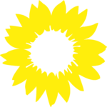 Sonnenblume