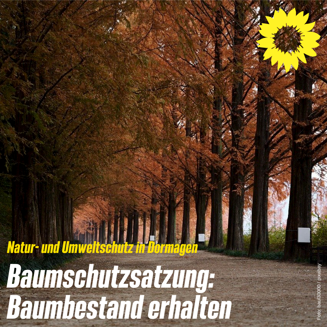 Baumalle, mit der Überschrift: "Natur- und Umweltschutz in Dormagen - Baumschutzsatzung: Baumbestand erhalten