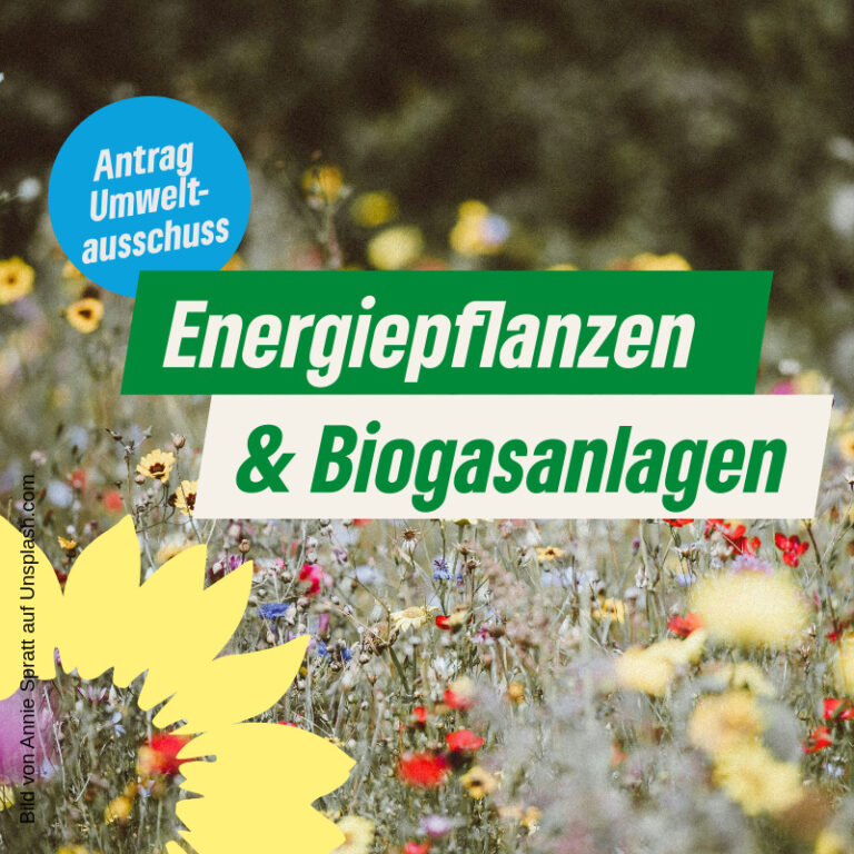 Energiepflanzen und Biogasanlagen