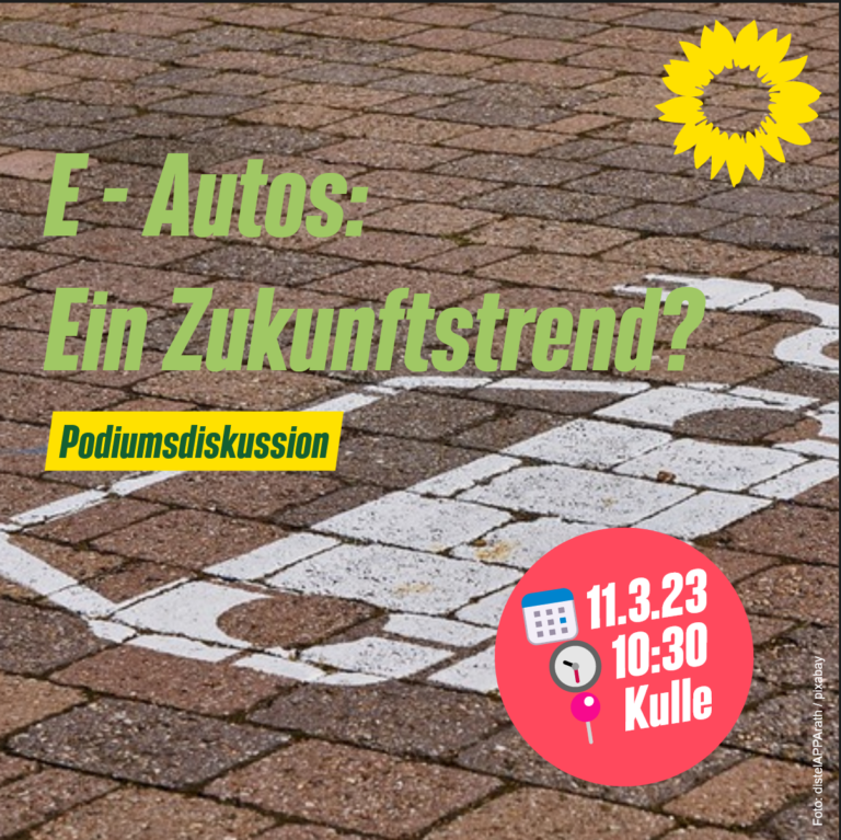 Informationsveranstaltung über die Zukunft von E-Autos