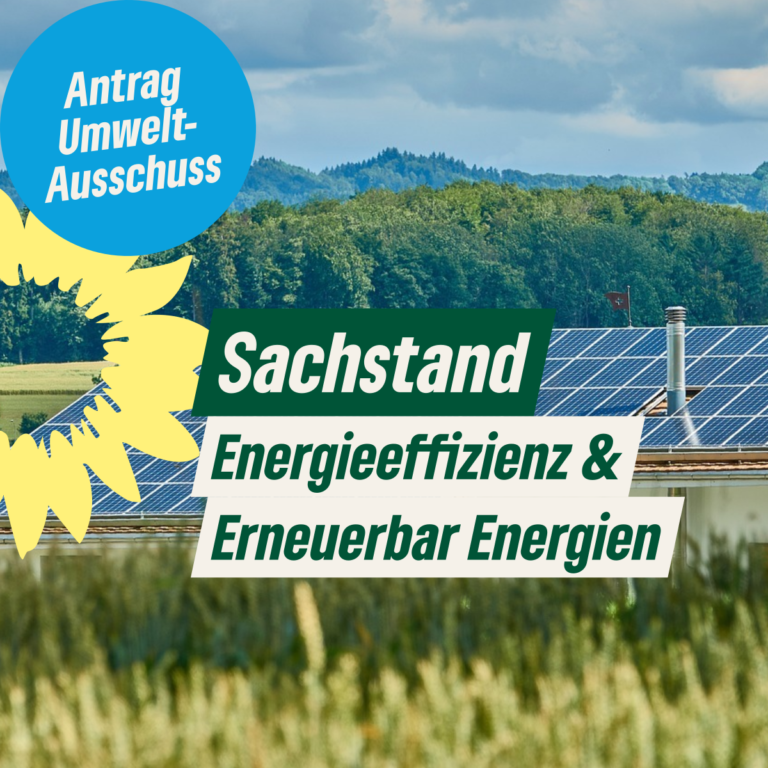 Bündnis 90/Die Grünen setzen sich für Energieeffizienz und erneuerbare Energien in Dormagen ein