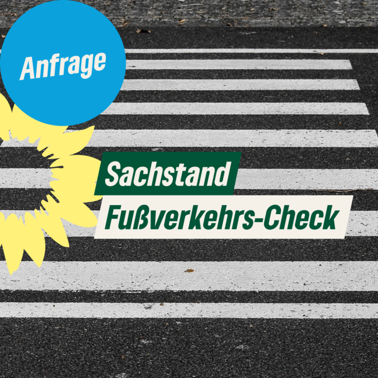 Sachstandsbericht zum Fussverkehrs-Check