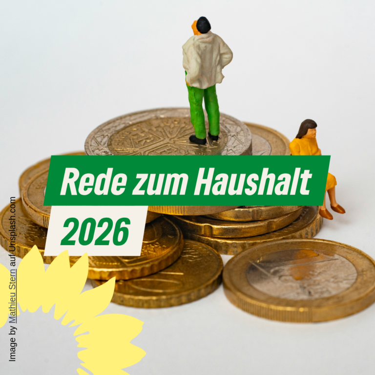 Rede zum Haushalt