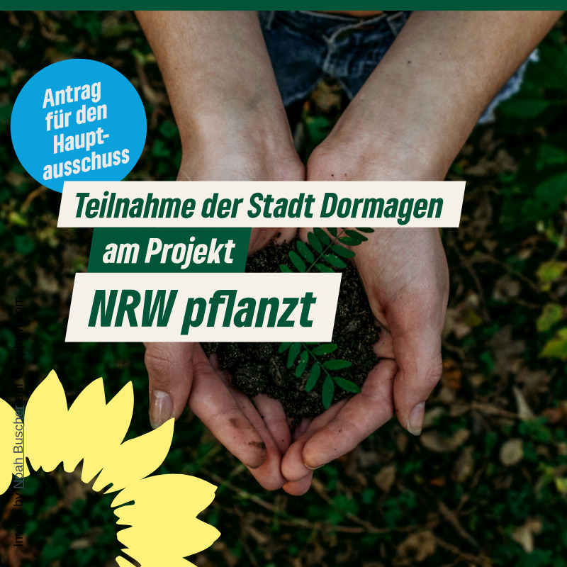 Dormagener Schulen pflanzen mit: Teilnahme am Projekt
